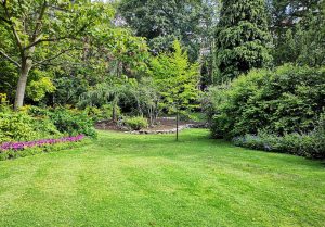 Optimiser l'expérience du jardin à Montalet-le-Bois
